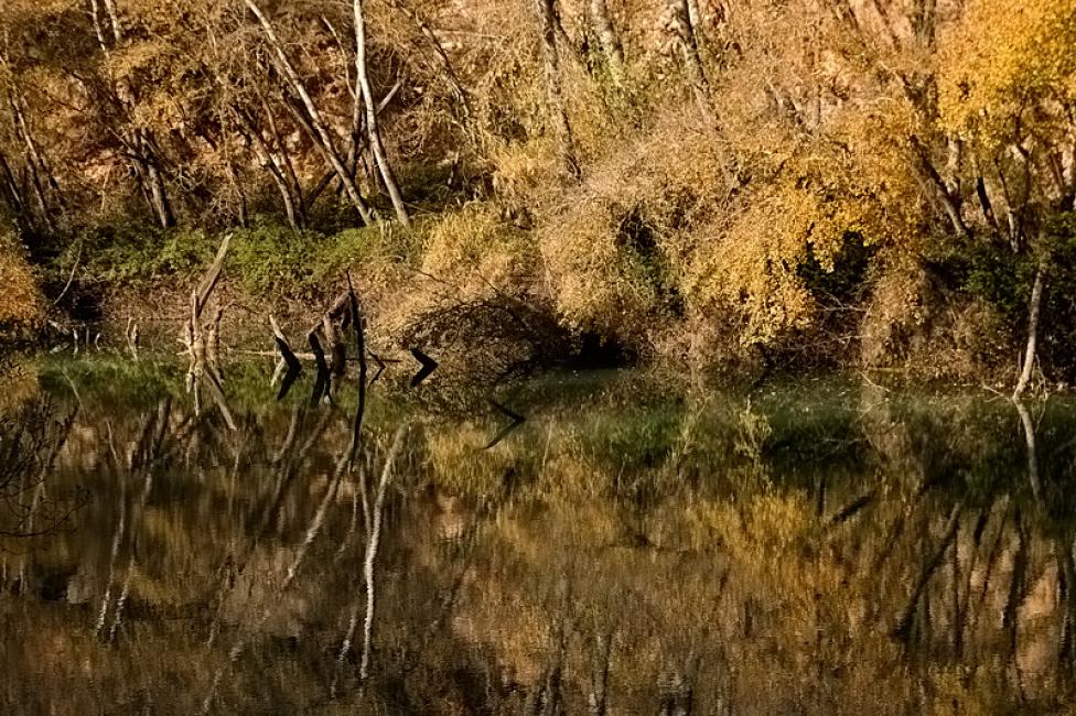 Reflejos en el Júcar